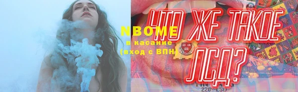 гашик Каменка